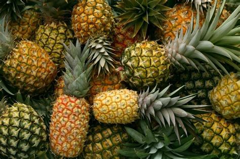 How To Ripen A Pineapple Quick And Easy Tips The Kitchen Community