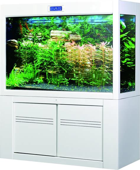 Most marine aquarium fish for saltwater aquariums stores, both online and walk in, have saltwater fish for sale that have recently arrived, we call them. Awesome Fish Tank Ideas You Will Love
