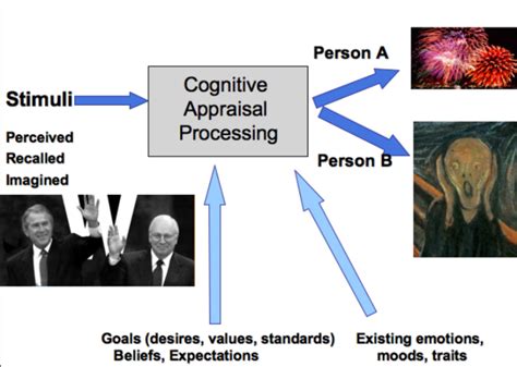 Cognitive Appraisal Theory Of Emotion