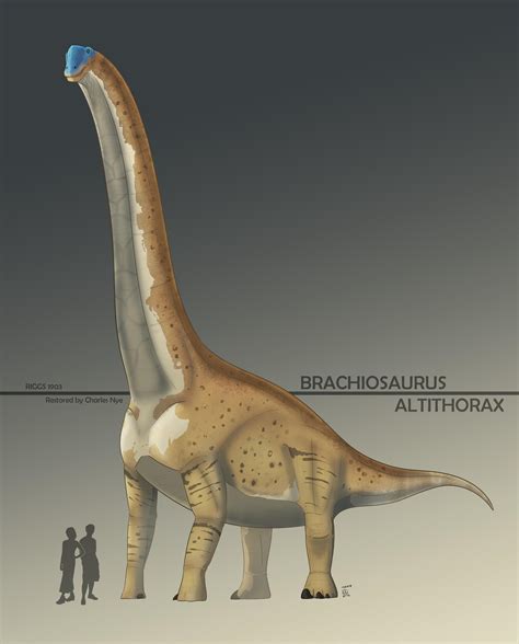 I Updated My Brachiosaurus Just ‘cause Oc Rdinosaurs