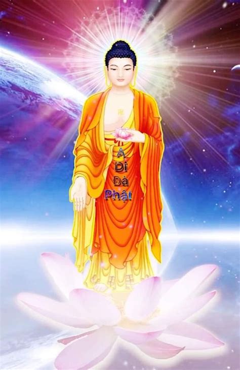 Tổng Hợp Hơn 98 Hình ảnh đức Phật A Di đà Mới Nhất Tin Học Vui