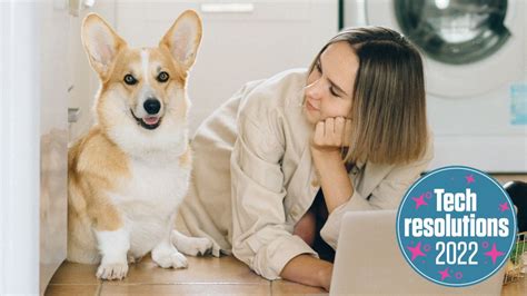 7 Pet Friendly Ways Tech Can Keep Your Pal Happy And Healthy In 2022