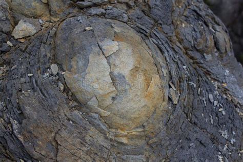 Rock Macro Onion Skin Weathering Weathered Stone Texture Stock Photo