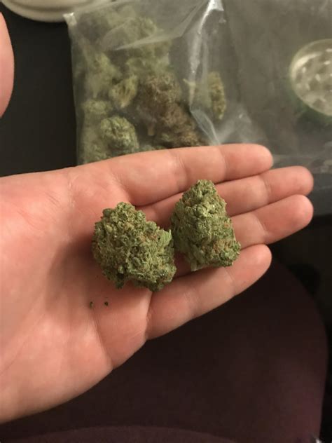 Beautiful Giant Nugs Rtrees