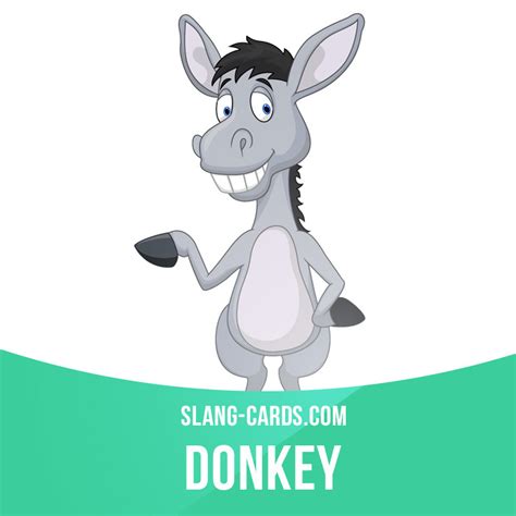Slang Cards — Donkey Means A Stupid Or Silly Person Example