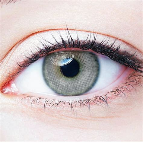Hazy Gray Coffee Colored Contact Lenses