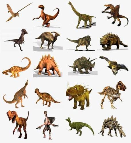 Todos Los Tipos De Dinosaurios Que Existieron Tipos De Dinosaurios