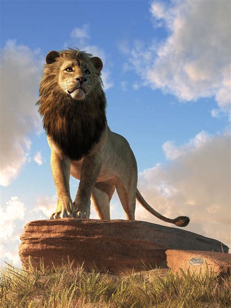 Lion King Of Beasts Digital Art By Daniel Eskridge