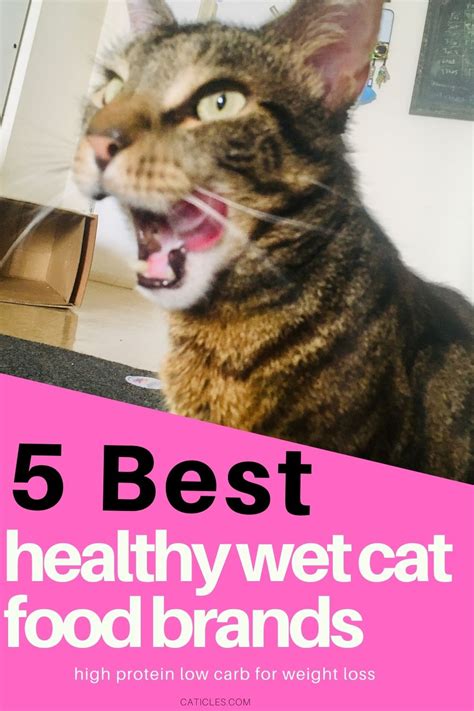 This wet cat food for weight loss is prepared with pork, liver, chicken liver flavor, chicken, and fiber. High Protein Low Carb Wet Cat Food for Weight Loss - CATICLES
