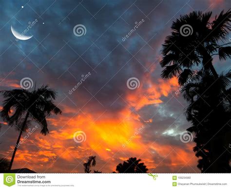 Moon Smile And Silhouette Palm Tree Sunset Sky Stock Photo