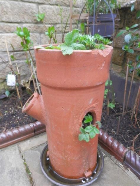 Large Terracotta Strawberry Planter Chimney Garden Plant Pot Old In