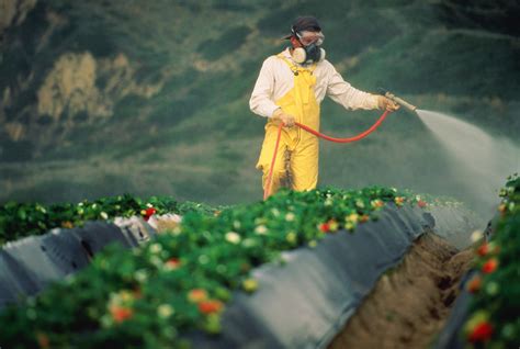 Potential Hazards Of Pesticides Fertilizers In Farm Food Financial