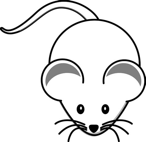 Free Vector Graphic Mouse Animal White Tail Ears Free Image On