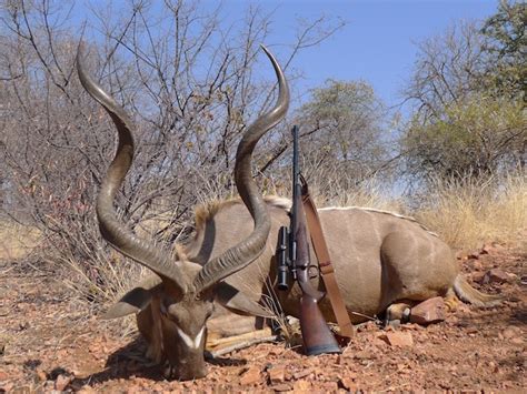 2019 2020 Africa Hunting Packages Big Game Hunting