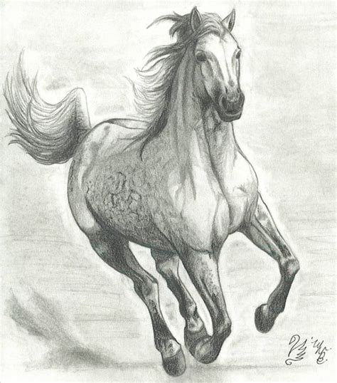 Drawings Of Horses Running Horses Running Drawing Running Horse By