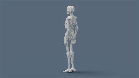 Voxel Skeleton 3d Turbosquid 1893256