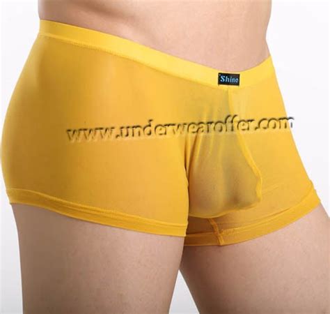 Sexy Men’s Sheer Boxer Briefs Bulge Pouch Underwear See Through Mesh Boxers Size S M L 8 Colors