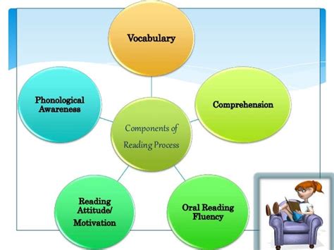 Components Of Reading Process