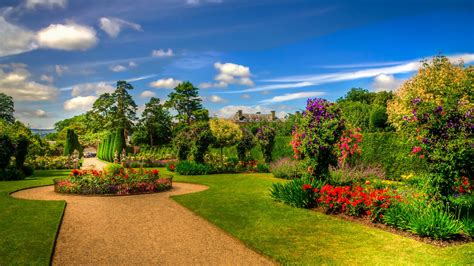 Garden With Green Grass And Flowers In Blue Sky Background Hd Garden