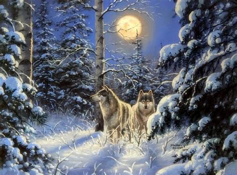Arctic Wolves Predator Arctic Moon Wolf Animal Hd Wallpaper Peakpx