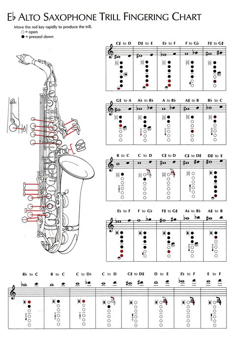 Alto Saxophone Notes And Finger Chart