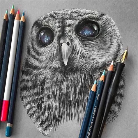 Owl Realistic Pencil Drawing By Jonathan Martinez Full Image