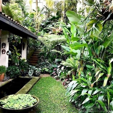15 Most Popular Tropical Garden Ideas For Small Gardens