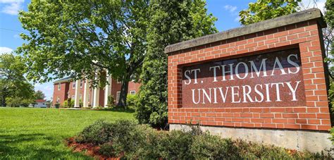 University Of St Thomas Houston Lu Gold Educational Consulting Edc