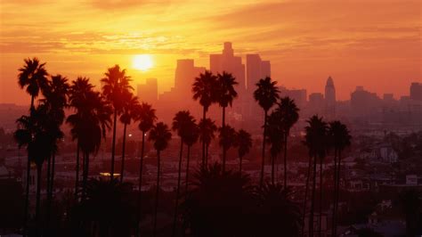 Los Angeles Sunset Palm Trees Wallpapers Hd Desktop And Mobile