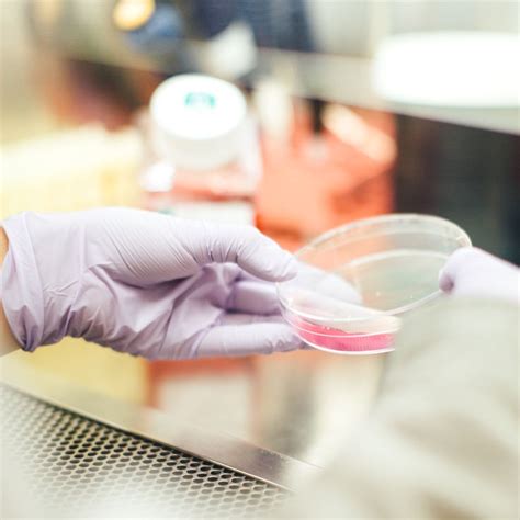 6 Perbedaan Rapid Test Dan PCR Swab Bagaimana Prosedurnya