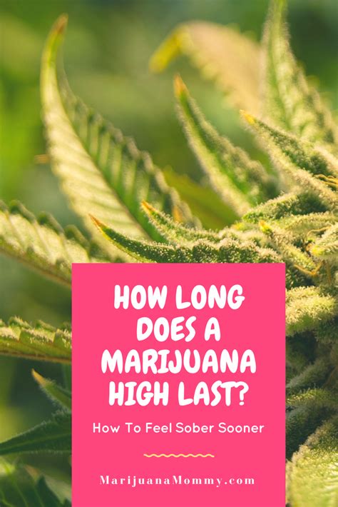 Within seconds it enters your bloodstream and usually, it takes between 5 to 10. How Long Does Being High Last With Marijuana? · Marijuana ...