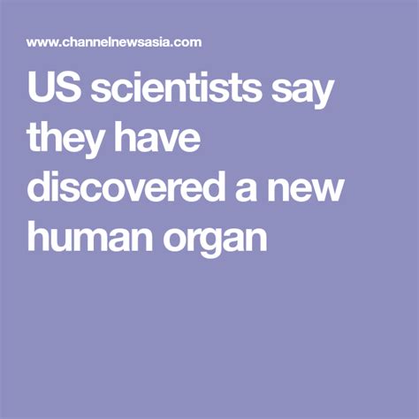 Us Scientists Say They Have Discovered A New Human Organ Human Organ Scientist Human