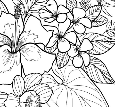 Tropical Flower Coloring Pages For Adults Coloring Pages