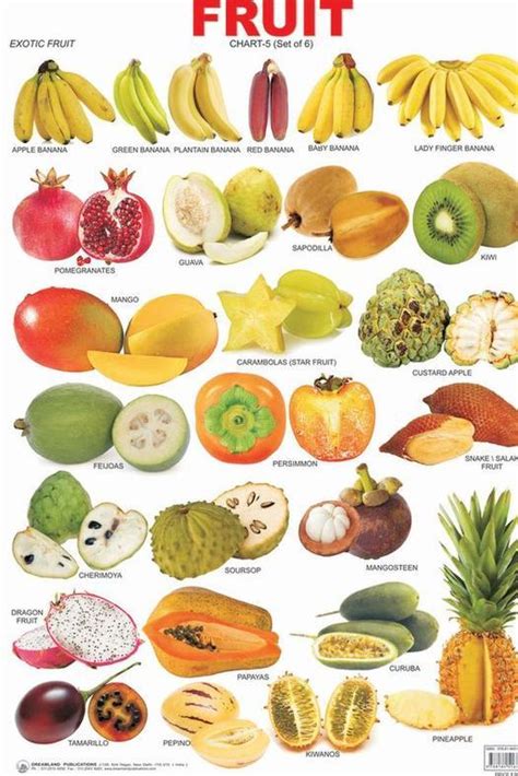 Fruits Chart With Names Charts