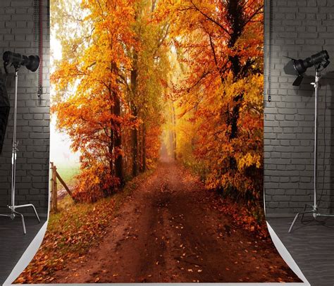 5x7ft 15x22m Autumn Photography Backdrops Forest Road