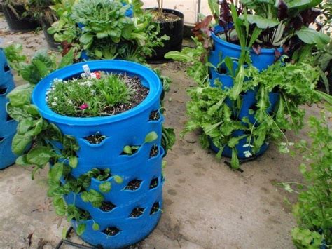 Diy Barrel Planter 4 Easy Steps The Owner Builder Network Barrel