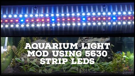 Diy Aquarium Led Diy Rigid Led Strip Aquarium Light 4 Steps With