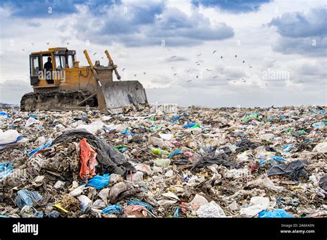 Bulldozer Working On Landfill With Birds In The Sky Stock Photo Alamy