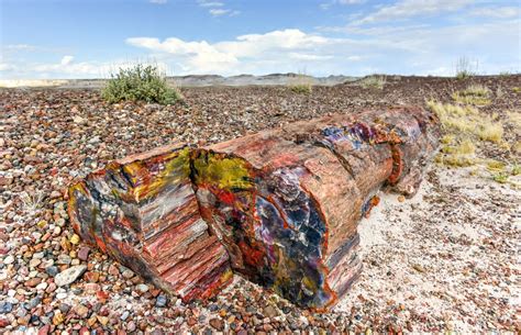 Petrified Forest National Park With Map And Photos