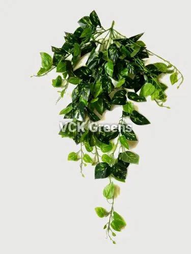 Vck Greens Silk Artificial Money Plant Creeper At Rs 450 In Ghaziabad