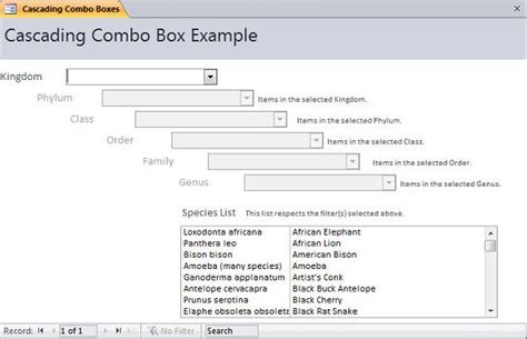 Microsoft Access Form Cascading Combo Boxes 7826 Hot Sex Picture