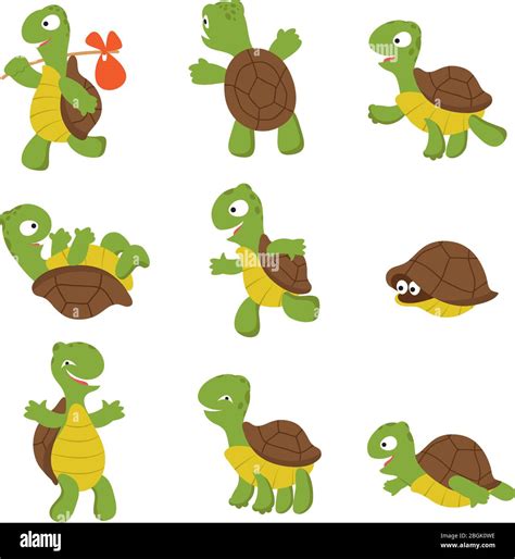Cartoon Turtle Cute Tortoise Wild Animal Vector Characters Isolated