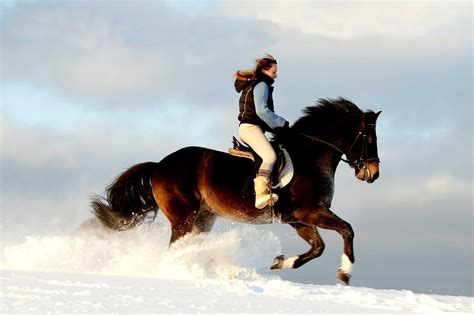 Horse Riding Wallpapers Free Wallpaper Cave