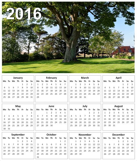 2016 Tree Calendar Free Stock Photo Public Domain Pictures