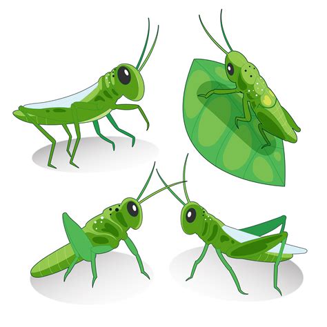 Grasshopper Character Vector Character Design 423830 Vector Art At Vecteezy