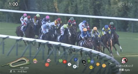 ®ぐー牧場の先週の競馬を振り返る話。～マイルチャンピオンシップ回顧～｜ぐー牧場