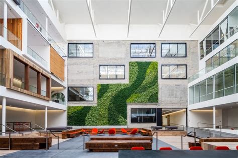 The Importance Of Biophilic Design In Office Spaces Post Covid 19