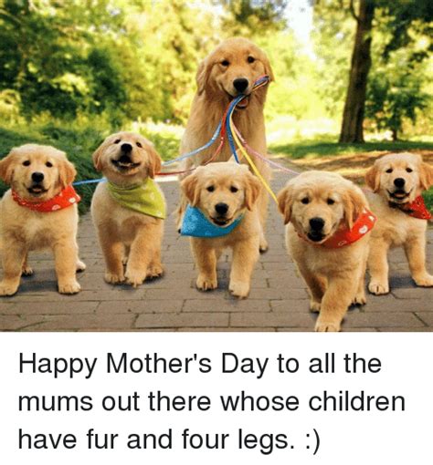 mother s day memes for whatsapp and facebook