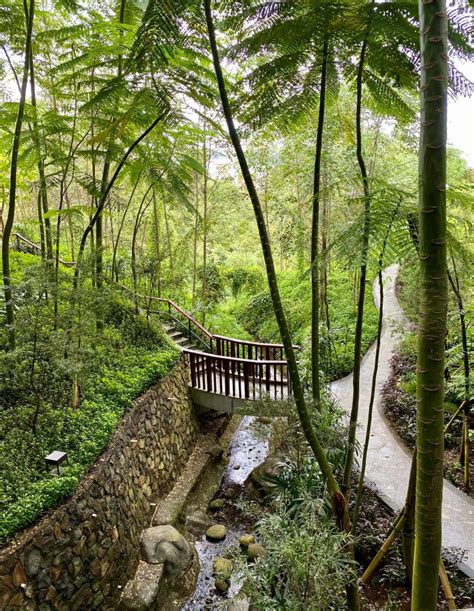7 Taman Bunga Terindah Di Indonesia