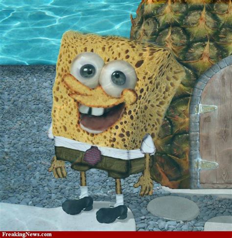 Image The Real Spongebob 49993 Encyclopedia Spongebobia